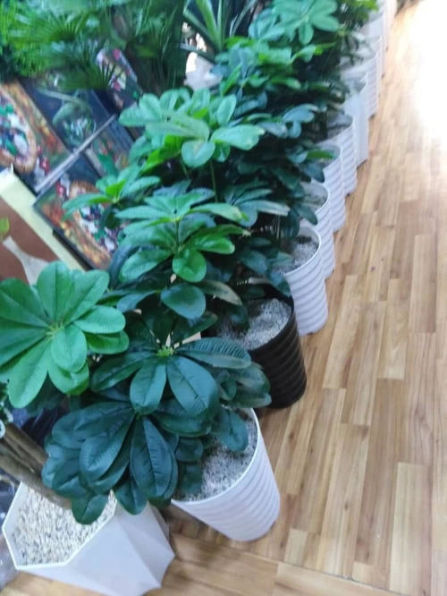 Pots et Plantes Artificielles