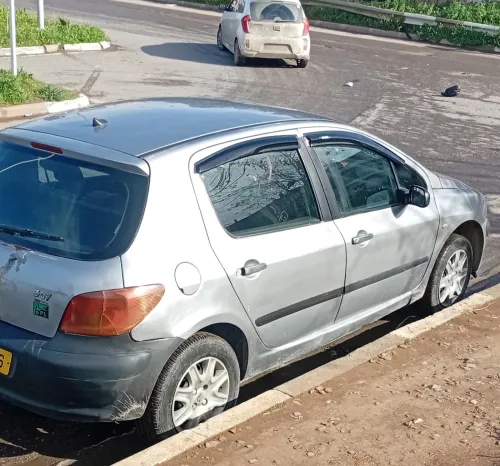 Peugeot 307 2002 307