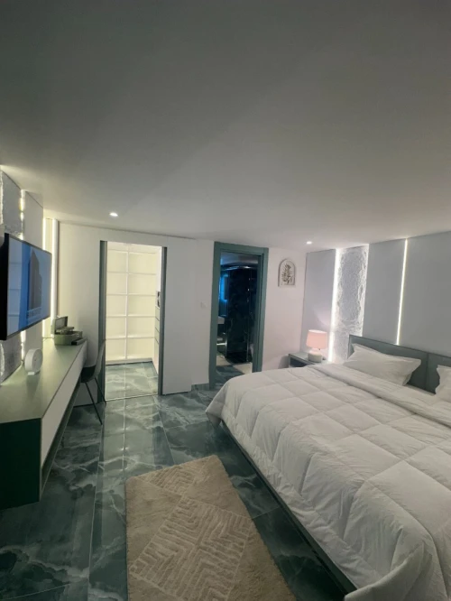 Vente Appartement Penthouse F4 Alger Dely brahim