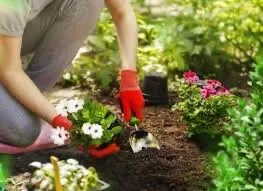 Jardinier pour un jour