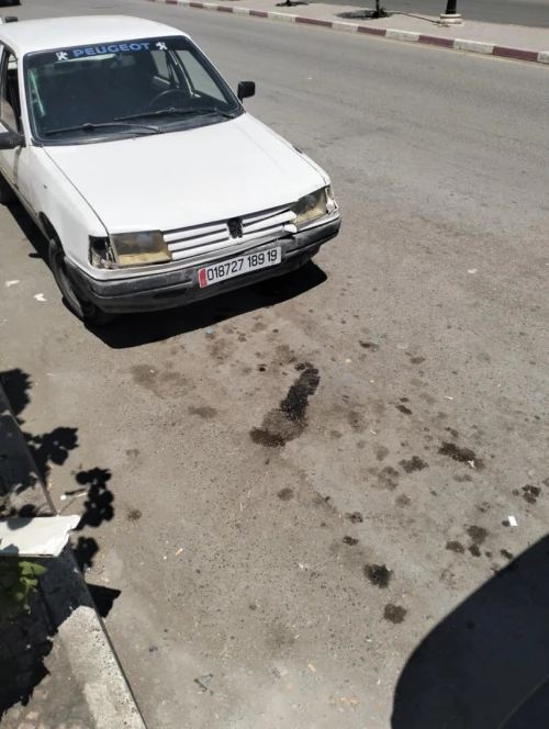 Peugeot 309 1989 309
