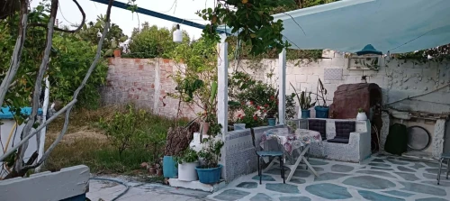 Location vacances Bungalow F3 Skikda Ben Azzouz