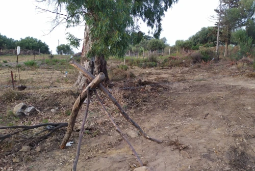 Vente Terrain Jijel El aouana