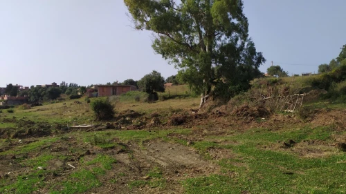 Vente Terrain Jijel El aouana