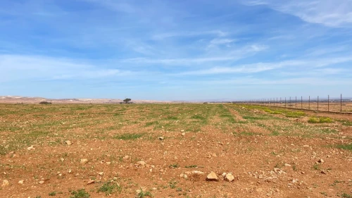 Vente Terrain Agricole Mascara Oggaz 2