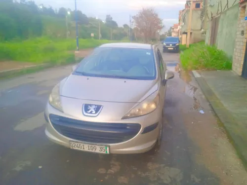 Peugeot 207 2009 Premium