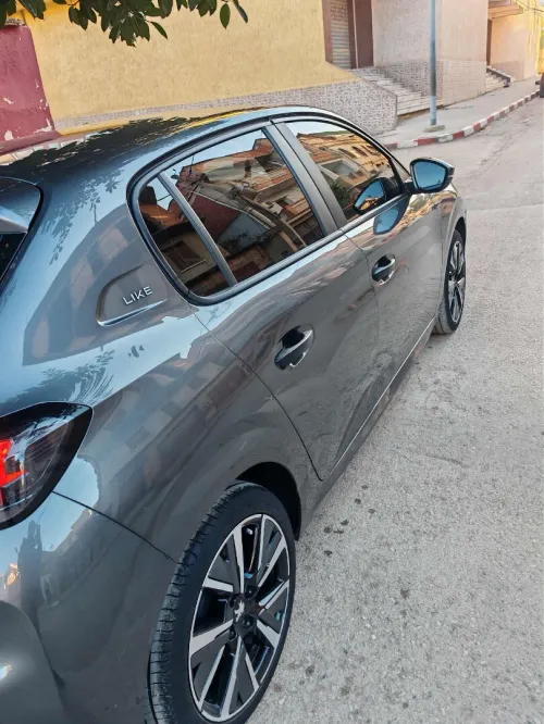 Peugeot 208 2022 208