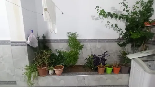 Vente Villa Aïn Defla Miliana