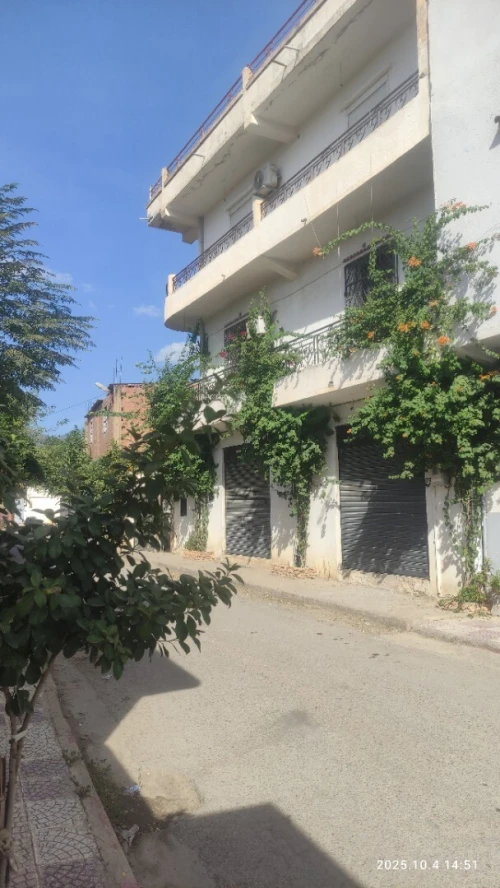Vente Villa Aïn Defla Khemis miliana