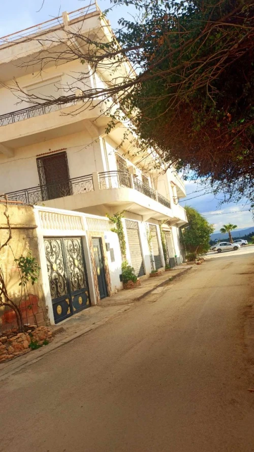 Vente Villa Aïn Defla Khemis miliana