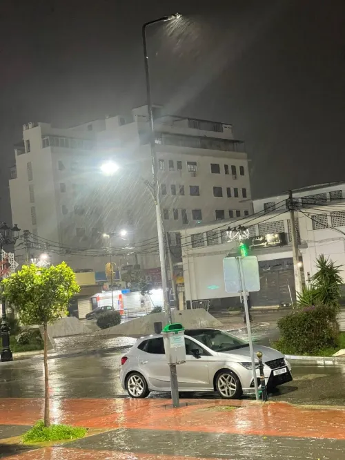 Seat Ibiza 2019 FR