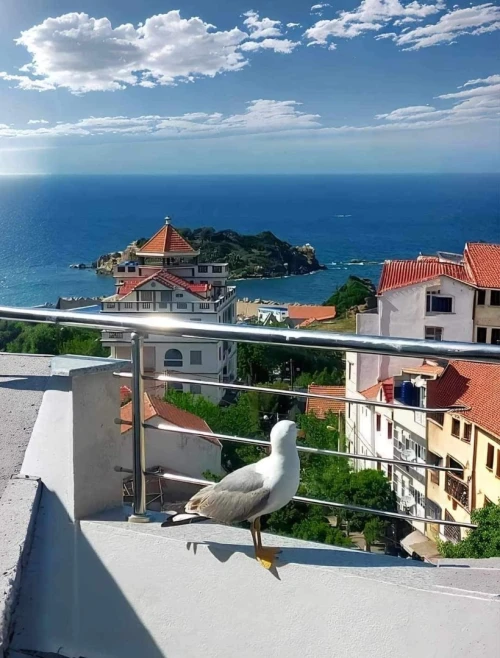 Location Appartement F2 Tizi Ouzou Tigzirt