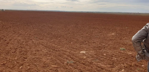 Vente Terrain Agricole Saïda Ain el hadjar