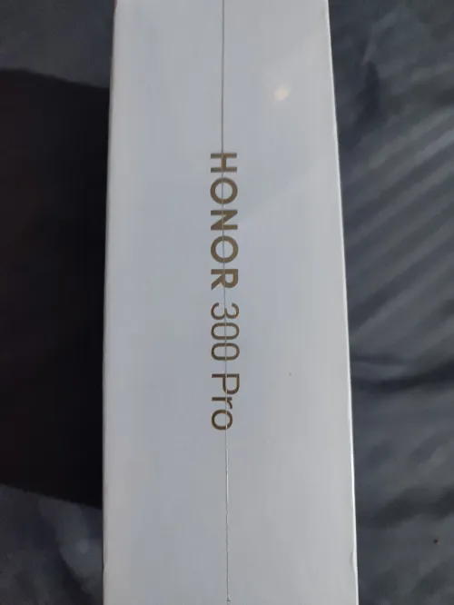 Honor 300 Pro