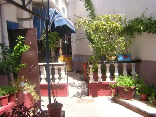 Vente Immeuble Annaba Annaba