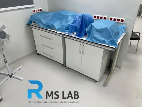 Fabrication de mobilier de laboratoire