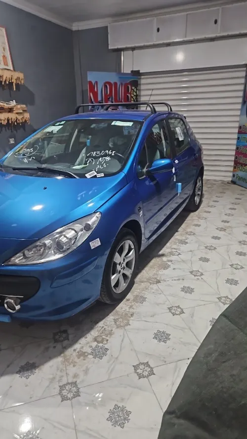 Peugeot 307 2006 Oxygo