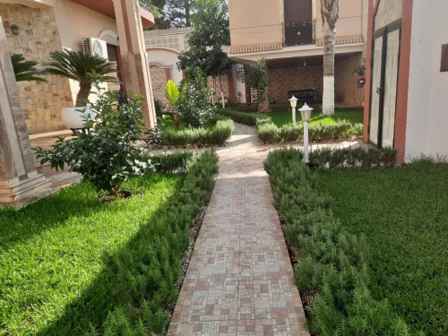 Gazon et plantes 