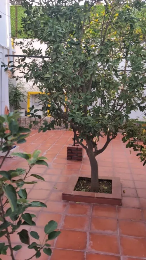 Vente Villa Alger El biar
