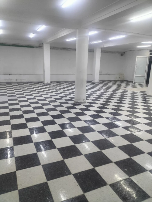Location Local Alger Alger centre