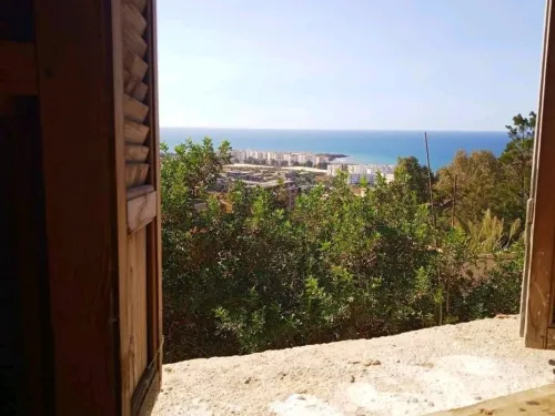 Vente Carcasse Tipaza Cherchell