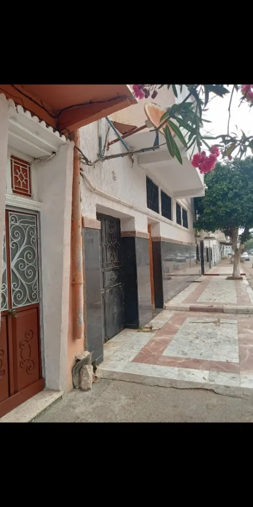 Location Immeuble Aïn Témouchent Beni saf