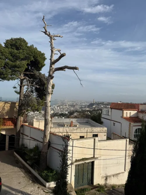 Location Appartement F3 Alger El biar