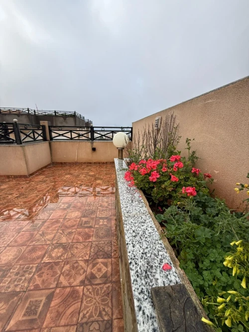 Location Appartement F5 Alger Cheraga