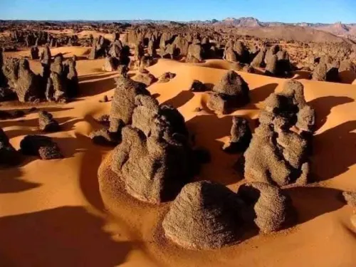 Djanet - Oasis Ihrir par Avion en Bivouac en Pension Complète à 82.000 Da رحلة منظمة لجانت