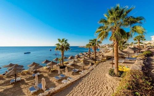 Sharm El Sheikh - 08 Jours Mai avec Turkish Airlines à 140.000 Da