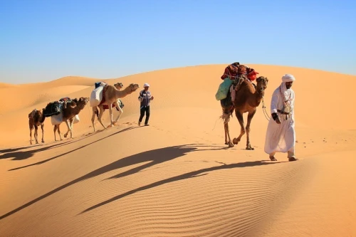 TIMIMOUNE par Avion - 05 Jours en Pension Complète à 63.000 Da رحلة منظمة لتميمون
