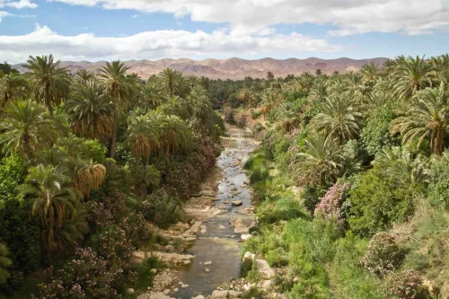 Biskra par Bus pour 04 Jours en Avril à 32.000 DZD رحلة منظمة لشرق الجزائر بسكرة