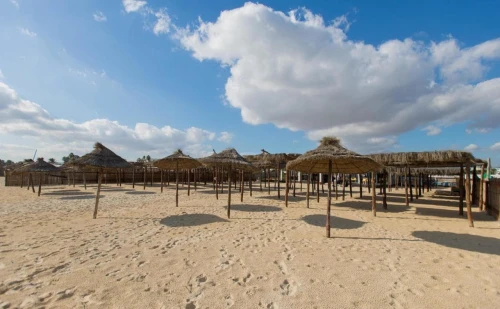 Tunisie / Hammamet par Bus Hôtel Yasmine Beach à 48.990 Da رحلة لتونس بالحافلة
