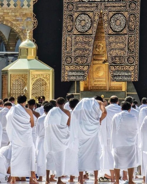 عمرة سبتمبر  يوم مع الخطوط السعودية فندق إيلاف أجياد ب 209.000 دج