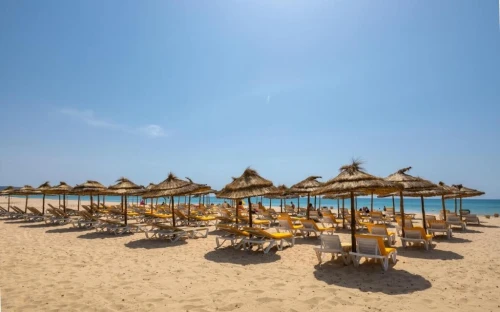 SOUSSE par Avion en JANVIER 2026 pour 08 Jours à 60.000 Da رحلة منظمة لتونس سوسة