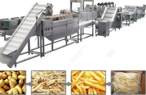 ligne de production des frites fraiches et frites surgelés