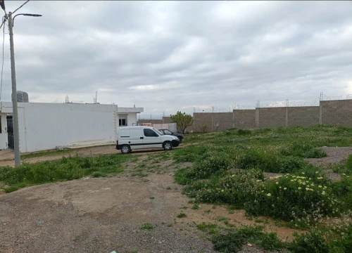 Vente Terrain Tlemcen Tlemcen
