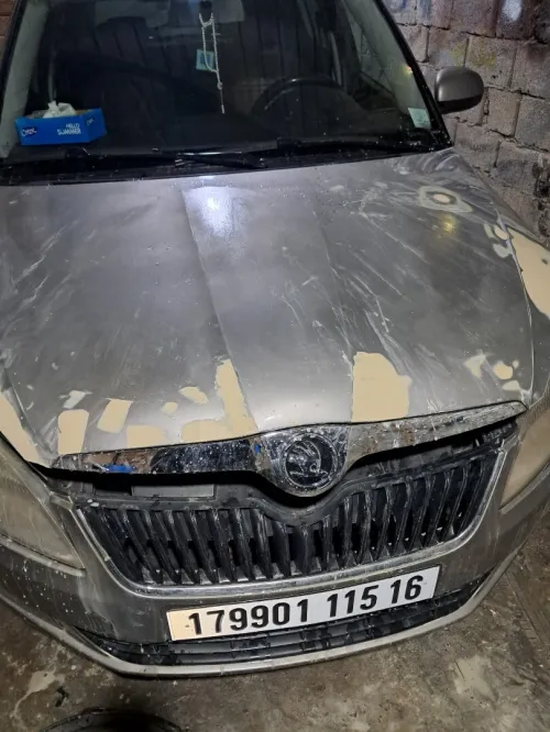 Skoda Fabia 2015 Fresh