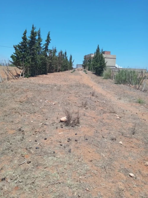 Vente Terrain Mostaganem Sidi lakhdaara