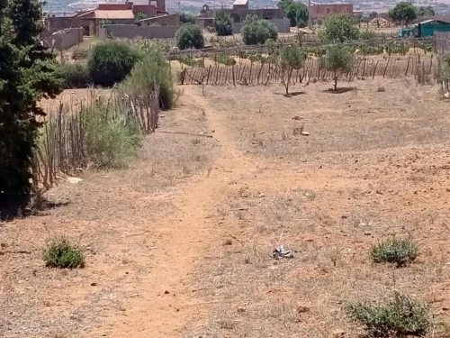 Vente Terrain Mostaganem Sidi lakhdaara
