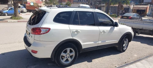 Hyundai SantaFe 2010 SantaFe