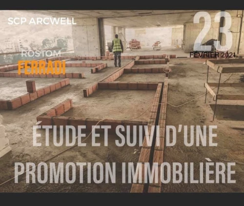 Etude et/ou Suivi de promotion immobilière- دراسة و\او متابعة  مشاريع عقارية
