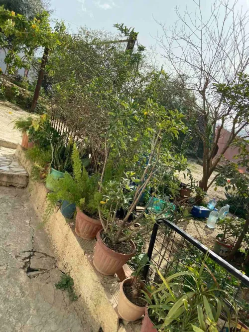 Vente Villa Blida Meftah