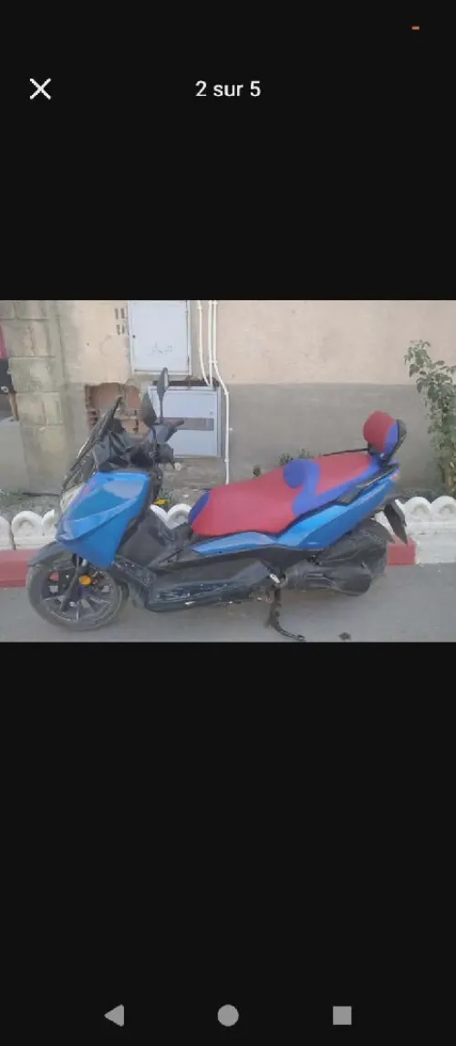Joki homax 200 2021