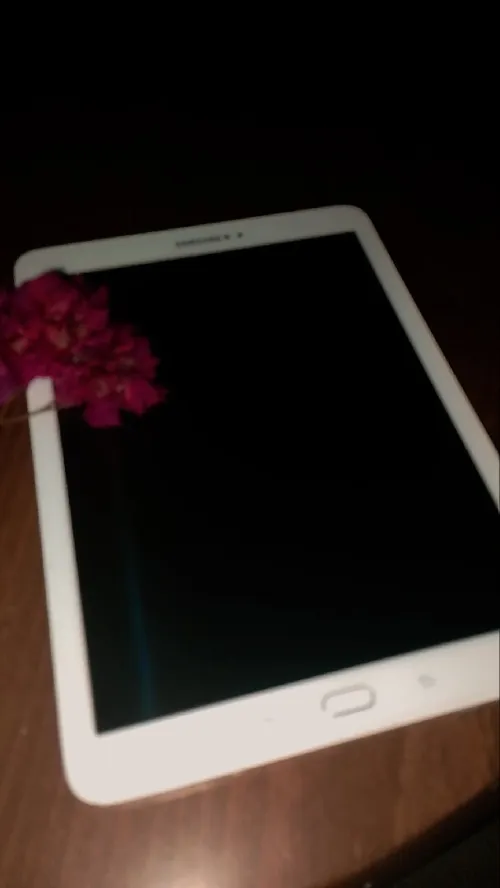 Samsung Galaxy Tab S2 SM-T813
