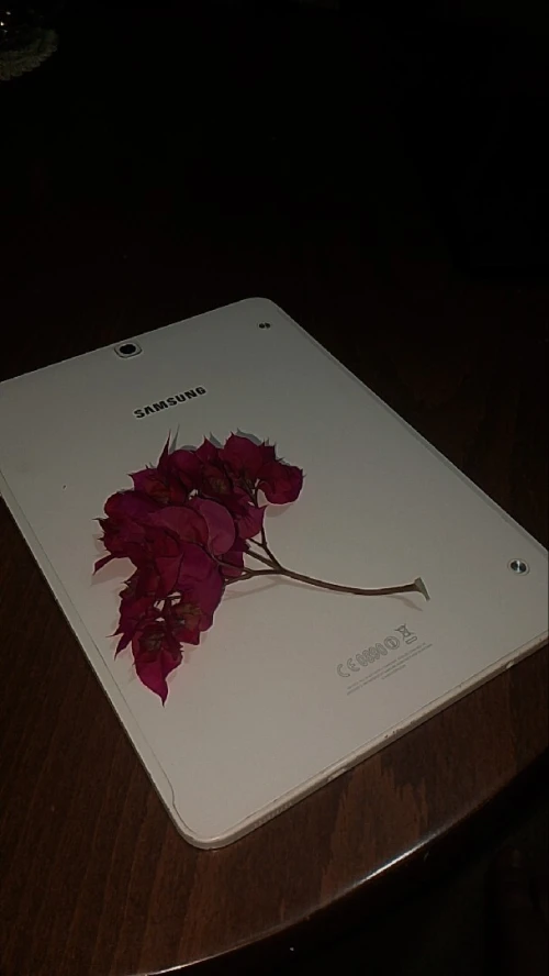 Samsung Galaxy Tab S2 SM-T813