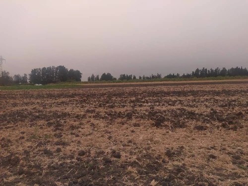 Vente Terrain Agricole Blida Ouled el alleug