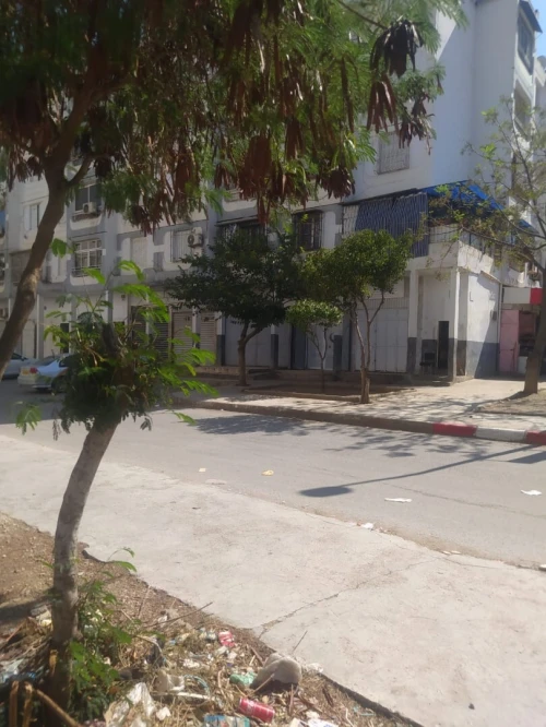 Vente Appartement F3 Blida Ouled yaich