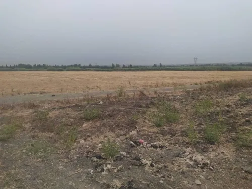 Vente Terrain Agricole Blida Ouled el alleug