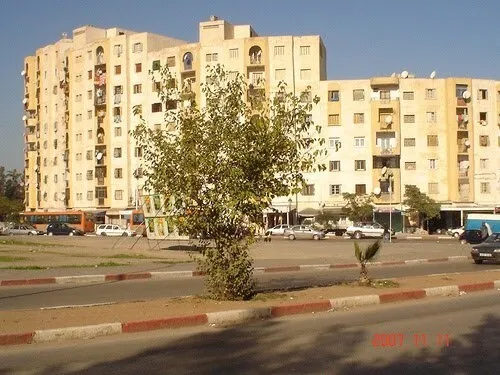 Location Local Blida Ouled yaich